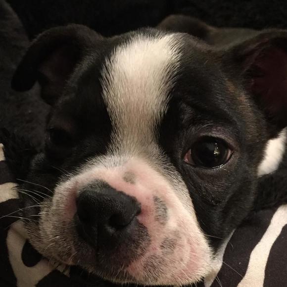 Meet your Posher, Lisa - Picture 1 of 1